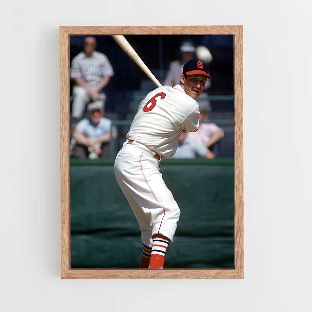 Poster Action à la Maison Blanche – affiche Baseball (vue 4)